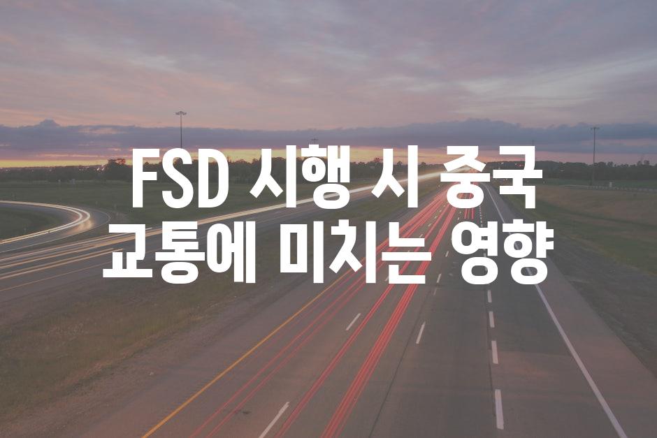  FSD 시행 시 중국 교통에 미치는 영향