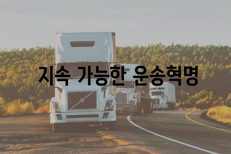  지속 가능한 운송혁명