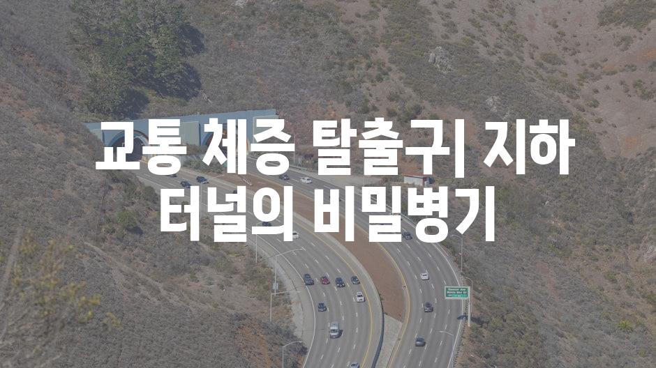  교통 체증 탈출구| 지하 터널의 비밀병기