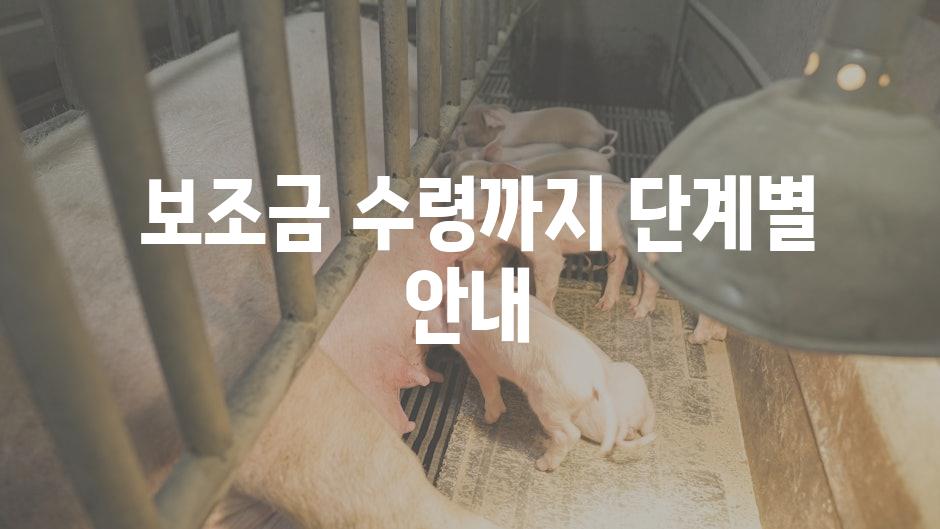  보조금 수령까지 단계별 안내