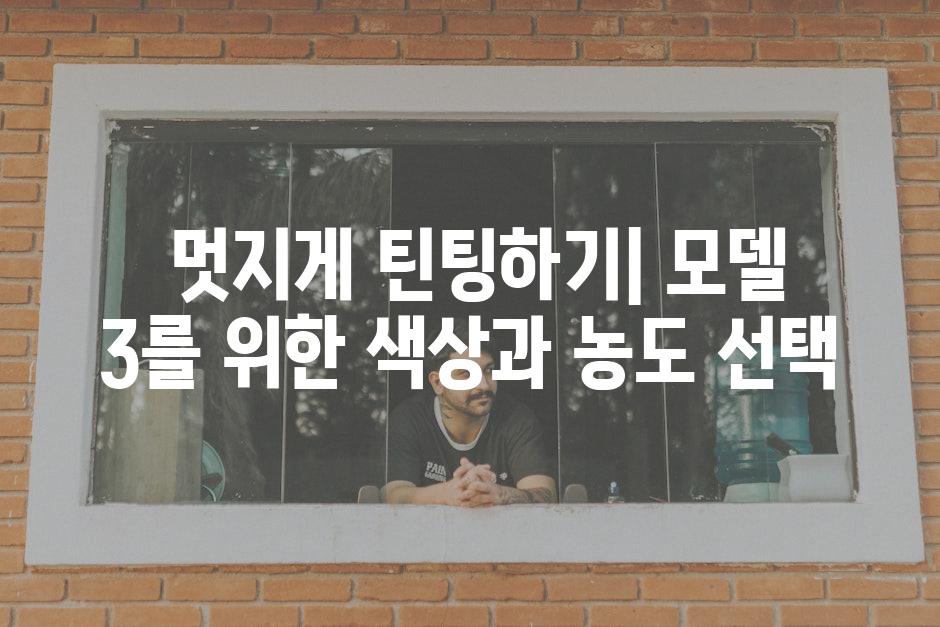  멋지게 틴팅하기| 모델 3를 위한 색상과 농도 선택