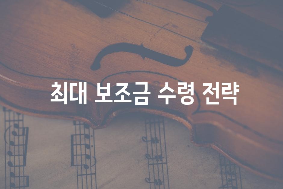  최대 보조금 수령 전략