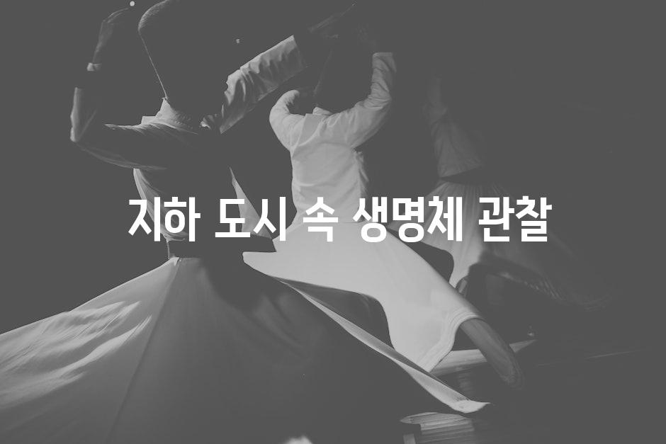  지하 도시 속 생명체 관찰