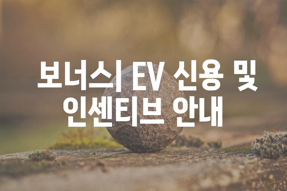  보너스| EV 신용 및 인센티브 안내