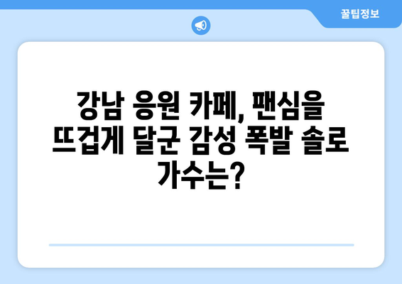 강남 응원 카페를 뜨겁게 달군 감성 폭발 솔로 가수는 누구? | 한국 최고 솔로 가수, 강남 이벤트, 팬심 사로잡는 무대