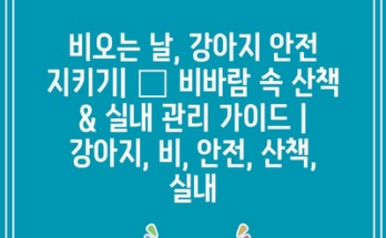 비오는 날, 강아지 안전 지키기| 🐶 비바람 속 산책 & 실내 관리 가이드 | 강아지, 비, 안전, 산책, 실내