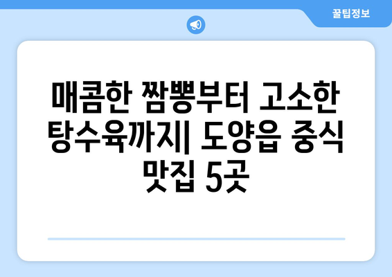 전라남도 고흥군 도양읍 점심 맛집 추천 한식 중식 양식 일식 TOP5