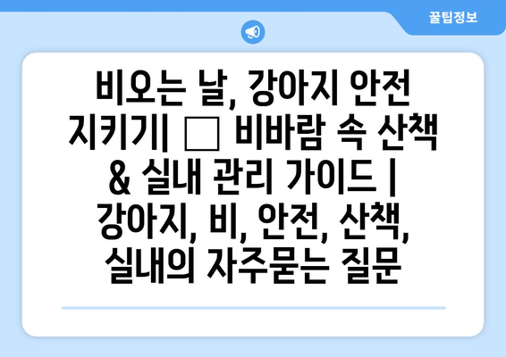 비오는 날, 강아지 안전 지키기| 🐶 비바람 속 산책 & 실내 관리 가이드 | 강아지, 비, 안전, 산책, 실내