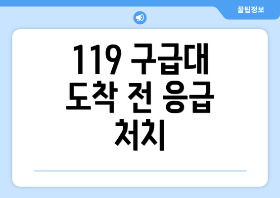 119 구급대 도착 전 응급 처치