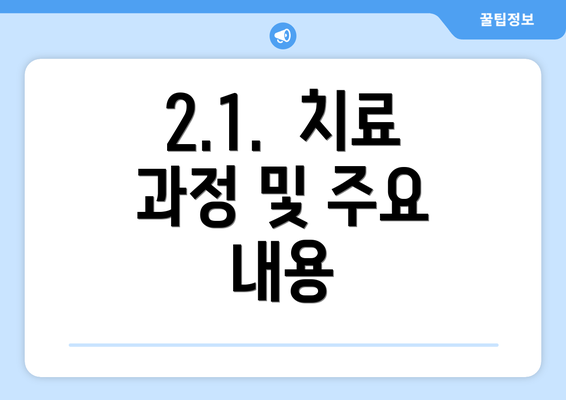 2.1.  치료 과정 및 주요 내용