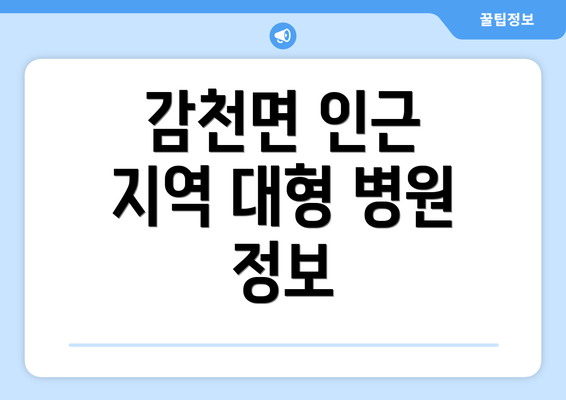 감천면 인근 지역 대형 병원 정보