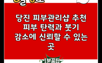 당진 피부관리샵 추천 피부 탄력과 붓기 감소에 신뢰할 수 있는 곳