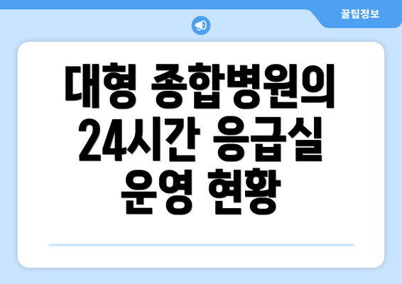 대형 종합병원의 24시간 응급실 운영 현황