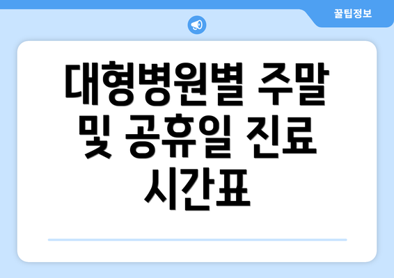 대형병원별 주말 및 공휴일 진료 시간표