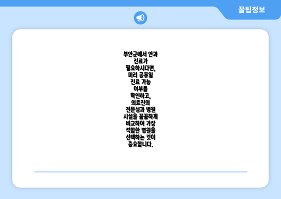 부안군에서 안과 진료가 필요하시다면,  미리 공휴일 진료 가능 여부를 확인하고,  의료진의 전문성과 병원 시설을 꼼꼼하게 비교하여 가장 적합한 병원을 선택하는 것이 중요합니다.
