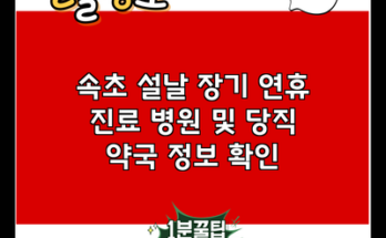 속초 설날 장기 연휴 진료 병원 및 당직 약국 정보 확인