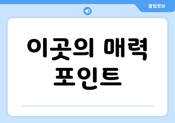 이곳의 매력 포인트