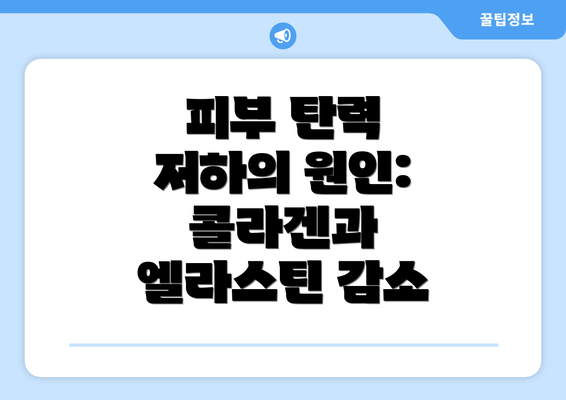 피부 탄력 저하의 원인: 콜라겐과 엘라스틴 감소